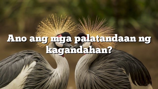 Ano ang mga palatandaan ng kagandahan?