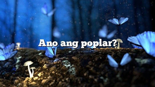 Ano ang poplar?