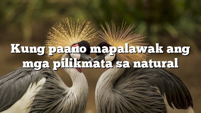 Kung paano mapalawak ang mga pilikmata sa natural