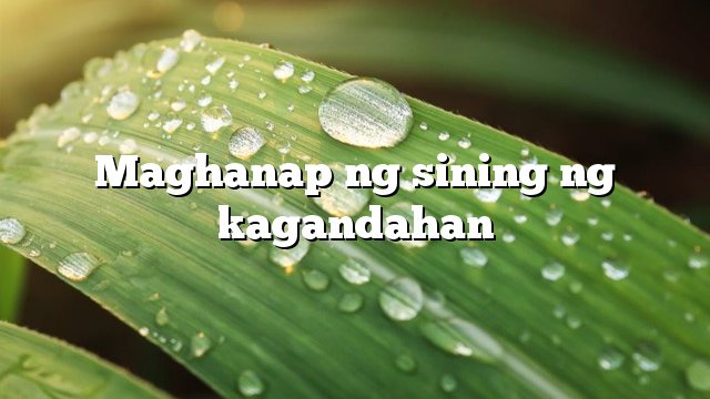 Maghanap ng sining ng kagandahan