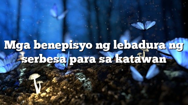 Mga benepisyo ng lebadura ng serbesa para sa katawan