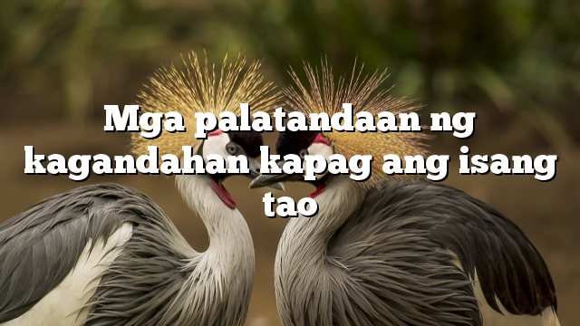 Mga palatandaan ng kagandahan kapag ang isang tao