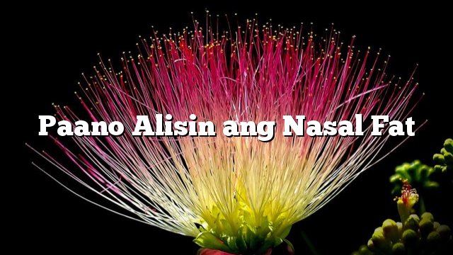 Paano Alisin ang Nasal Fat