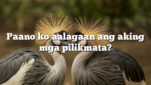 Paano ko aalagaan ang aking mga pilikmata?
