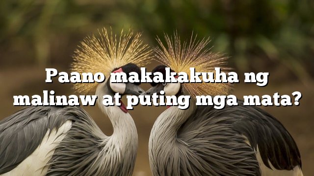 Paano makakakuha ng malinaw at puting mga mata?