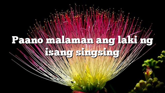 Paano malaman ang laki ng isang singsing