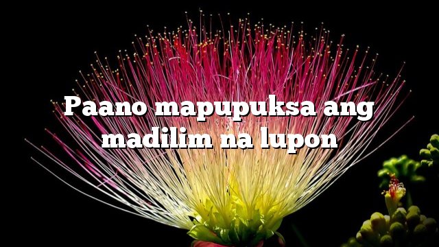 Paano mapupuksa ang madilim na lupon