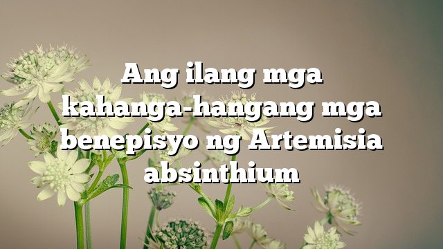 Ang ilang mga kahanga-hangang mga benepisyo ng Artemisia absinthium