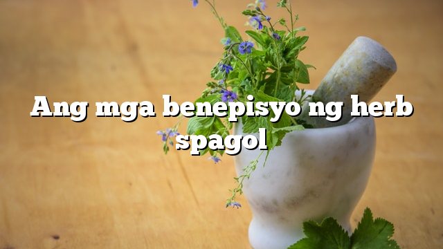 Ang mga benepisyo ng herb spagol