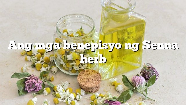 Ang mga benepisyo ng Senna herb