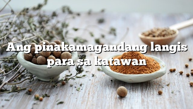 Ang pinakamagandang langis para sa katawan