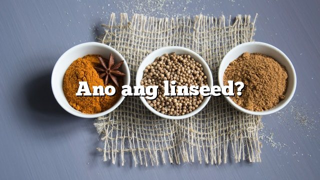 Ano ang linseed?