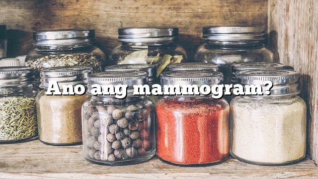 Ano ang mammogram?