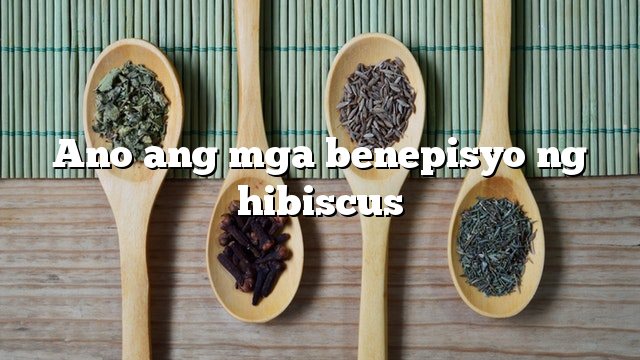 Ano ang mga benepisyo ng hibiscus