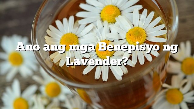 Ano ang mga Benepisyo ng Lavender?