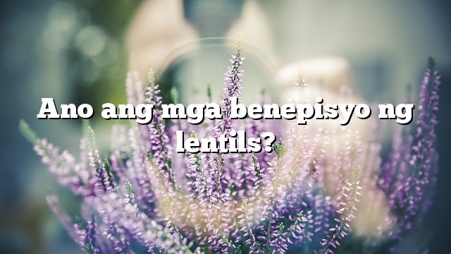 Ano ang mga benepisyo ng lentils?