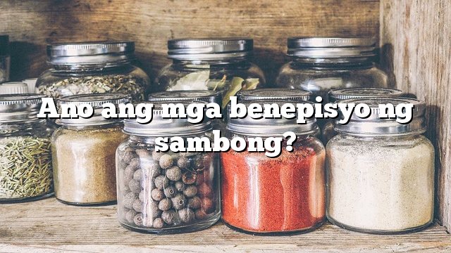 Ano ang mga benepisyo ng sambong?