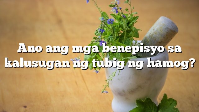 Ano ang mga benepisyo sa kalusugan ng tubig ng hamog?