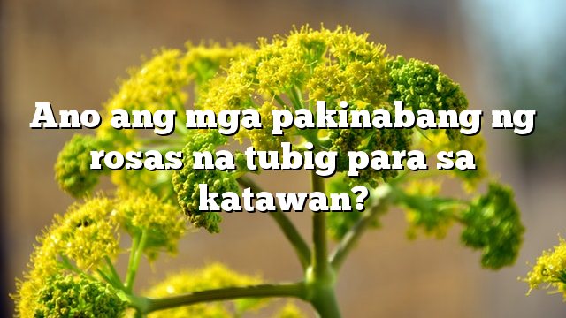 Ano ang mga pakinabang ng rosas na tubig para sa katawan?