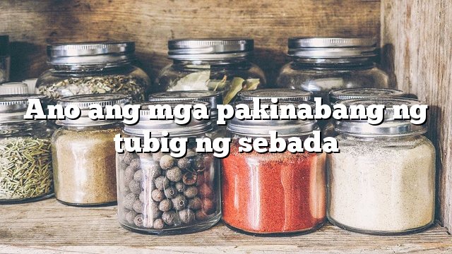 Ano ang mga pakinabang ng tubig ng sebada