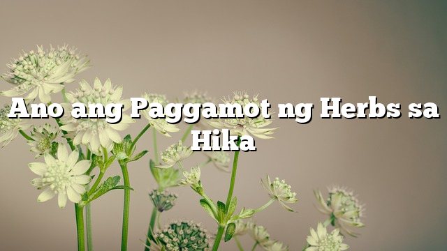 Ano ang Paggamot ng Herbs sa Hika