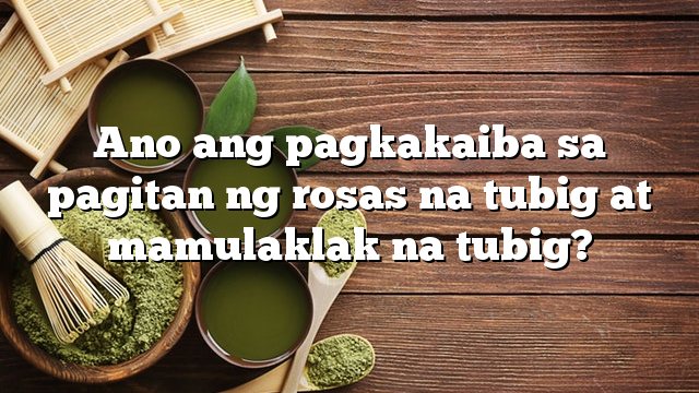 Ano ang pagkakaiba sa pagitan ng rosas na tubig at mamulaklak na tubig?