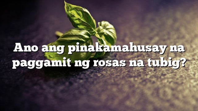 Ano ang pinakamahusay na paggamit ng rosas na tubig?