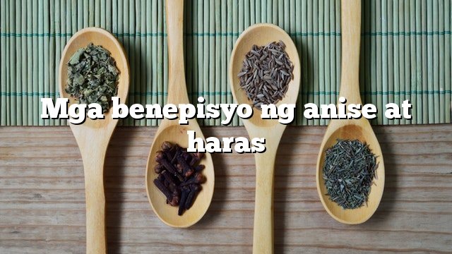 Mga benepisyo ng anise at haras