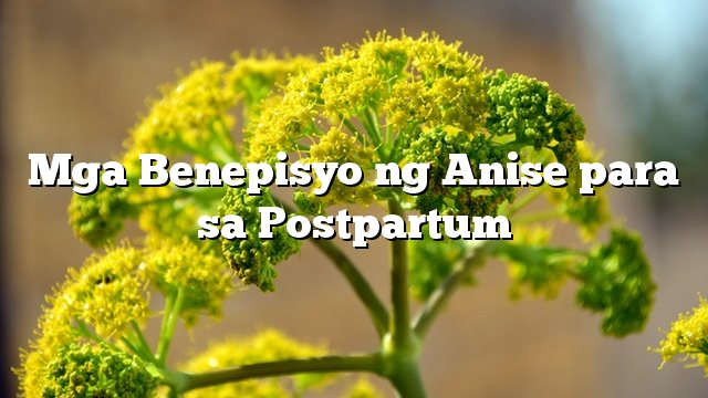 Mga Benepisyo ng Anise para sa Postpartum