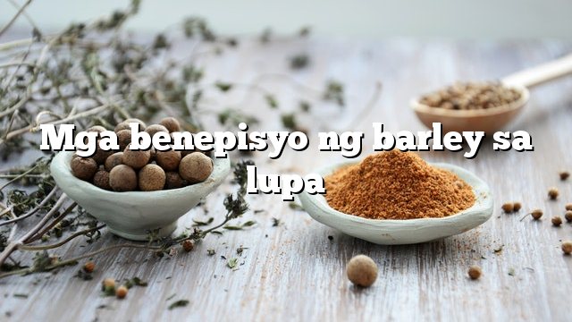 Mga benepisyo ng barley sa lupa