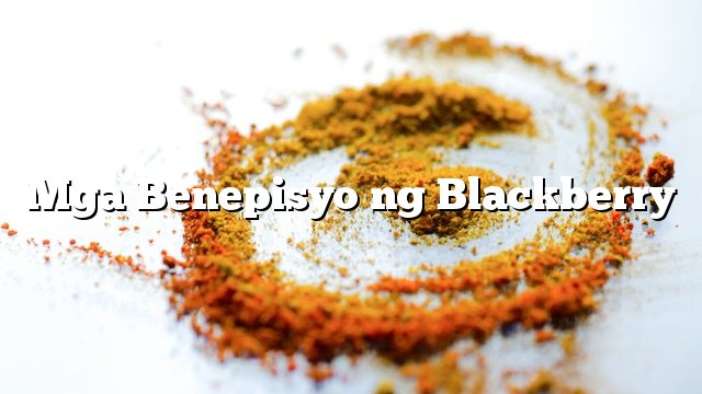 Mga Benepisyo ng Blackberry