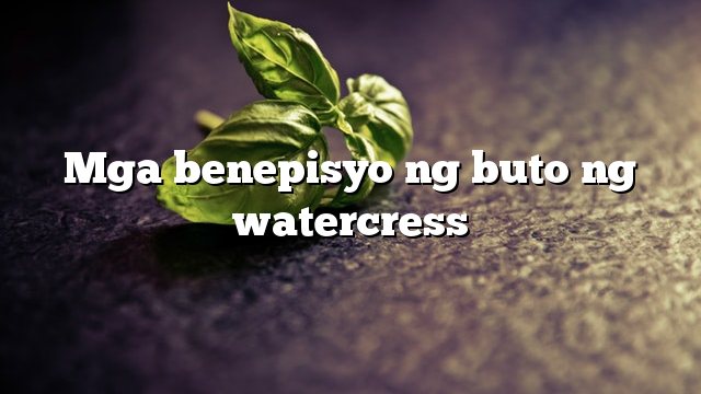 Mga benepisyo ng buto ng watercress