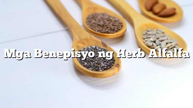 Mga Benepisyo ng Herb Alfalfa