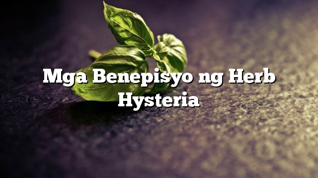 Mga Benepisyo ng Herb Hysteria