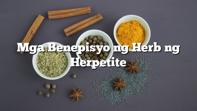 Mga Benepisyo ng Herb ng Herpetite