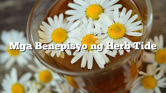 Mga Benepisyo ng Herb Tide