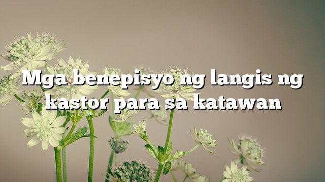 Mga benepisyo ng langis ng kastor para sa katawan