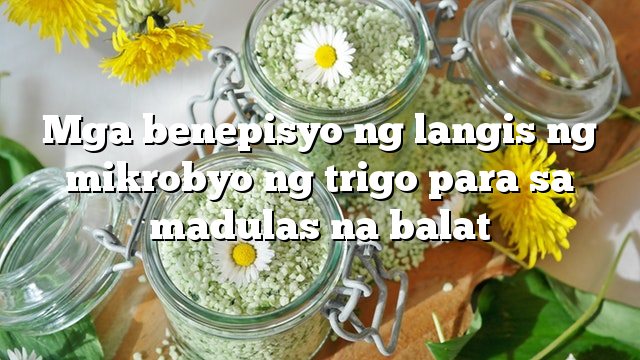 Mga benepisyo ng langis ng mikrobyo ng trigo para sa madulas na balat