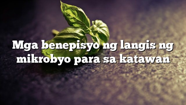 Mga benepisyo ng langis ng mikrobyo para sa katawan