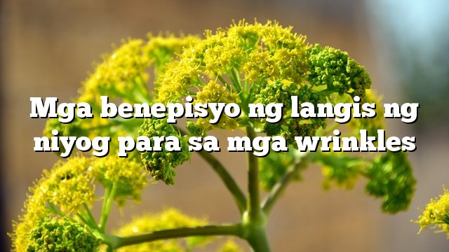 Mga benepisyo ng langis ng niyog para sa mga wrinkles