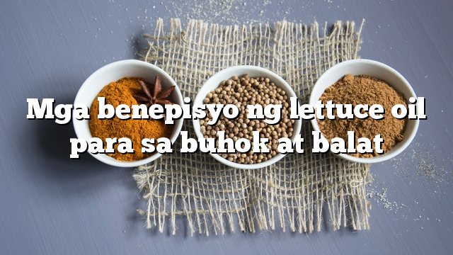 Mga benepisyo ng lettuce oil para sa buhok at balat