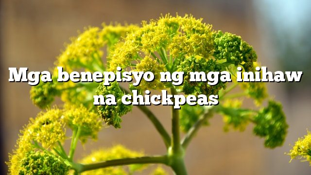 Mga benepisyo ng mga inihaw na chickpeas