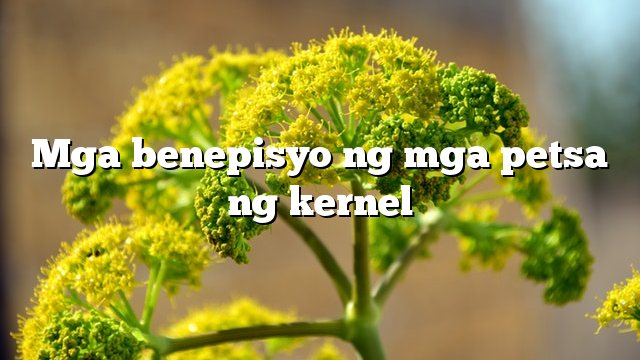 Mga benepisyo ng mga petsa ng kernel