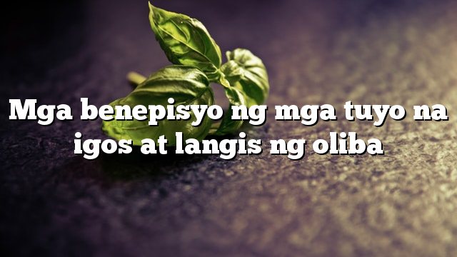 Mga benepisyo ng mga tuyo na igos at langis ng oliba