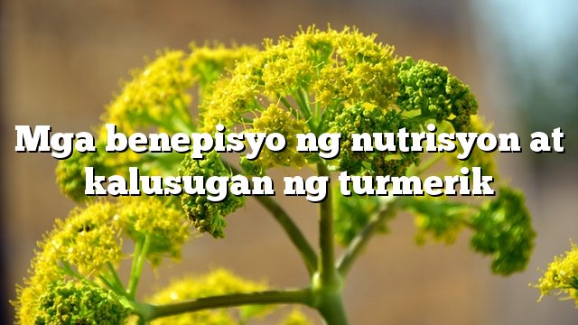 Mga benepisyo ng nutrisyon at kalusugan ng turmerik