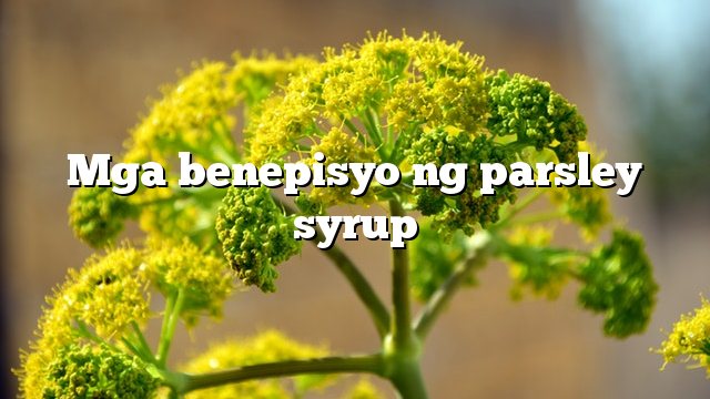 Mga benepisyo ng parsley syrup