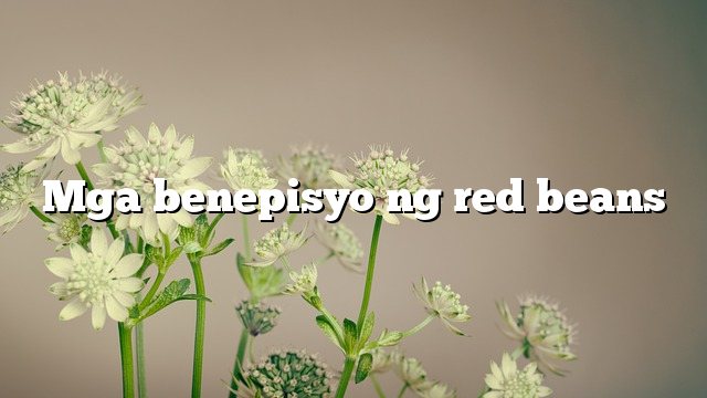 Mga benepisyo ng red beans