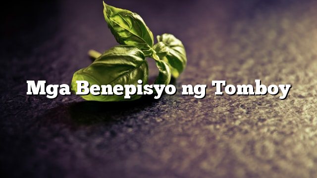 Mga Benepisyo ng Tomboy