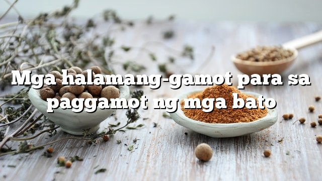 Mga halamang-gamot para sa paggamot ng mga bato