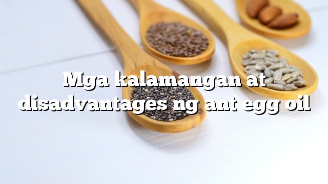 Mga kalamangan at disadvantages ng ant egg oil